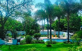 Sandton Spring Rivonia
